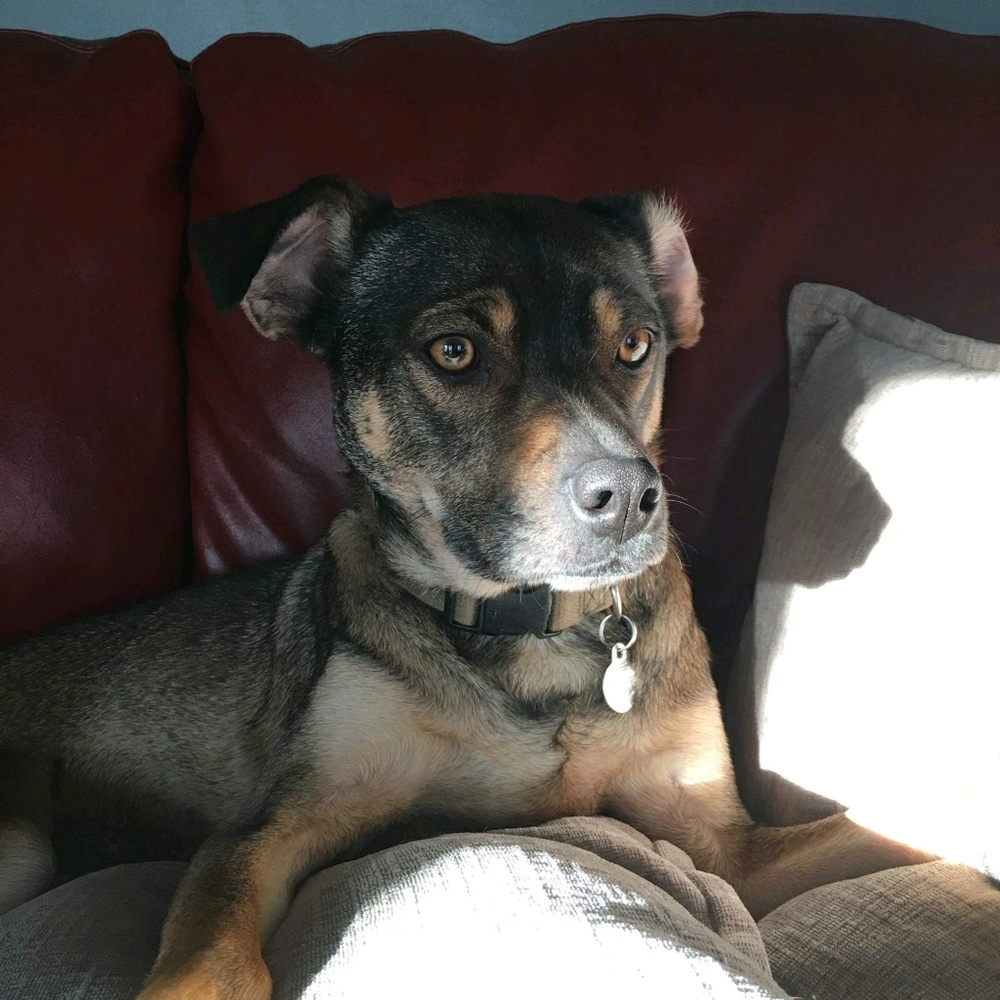 Meet your Posher, Douglas